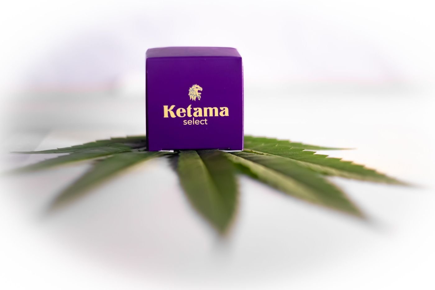 Ketama Select box on a cannabis leaf